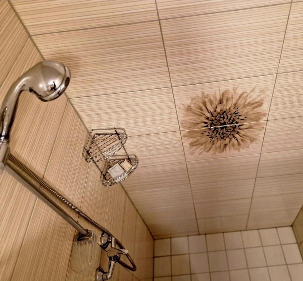Linos Apartamentai Druskininkai Esterno foto